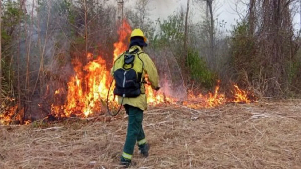 Fuego Orán