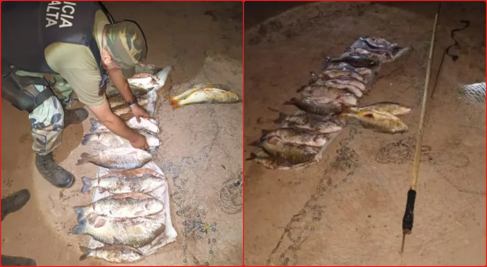 pescado