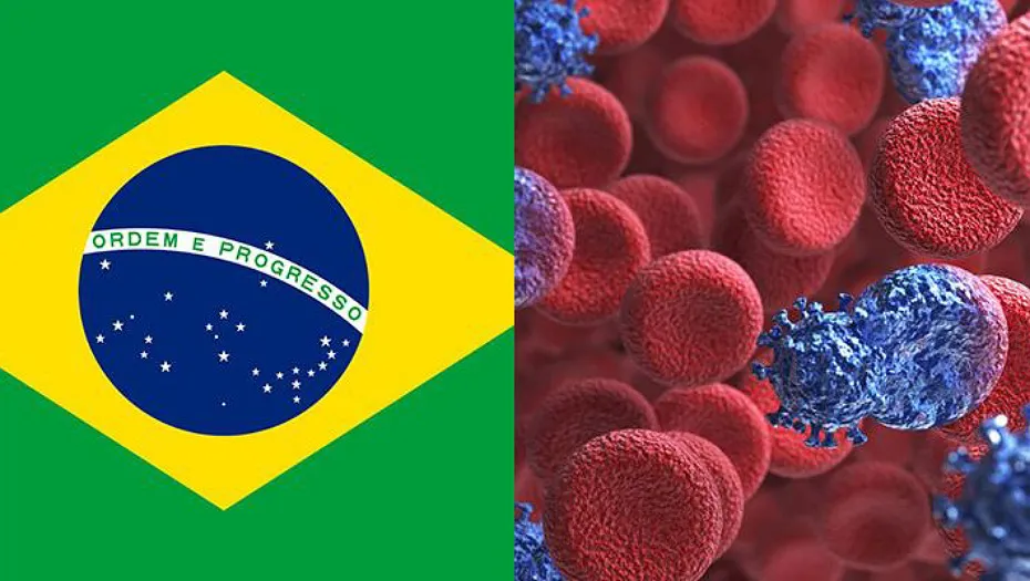 IMG_20241013_203203_(930_x_525_píxel)