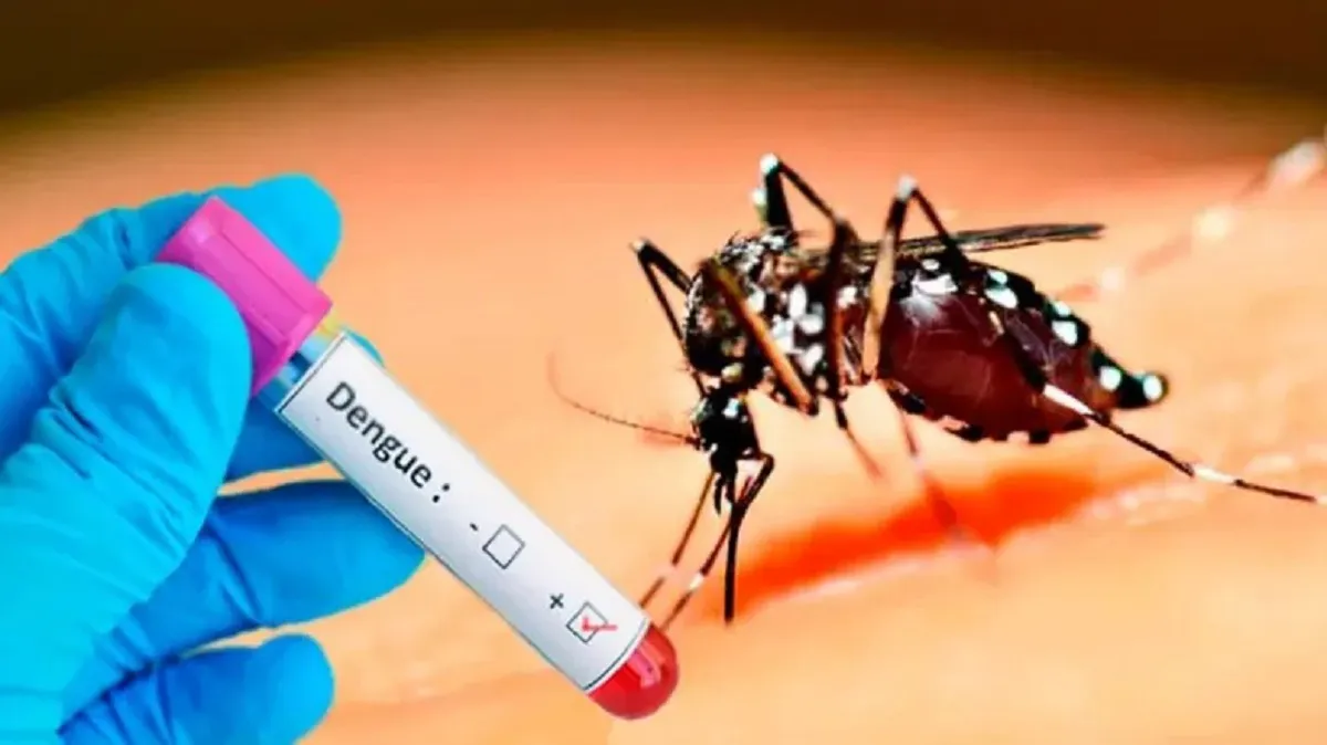 Dengue