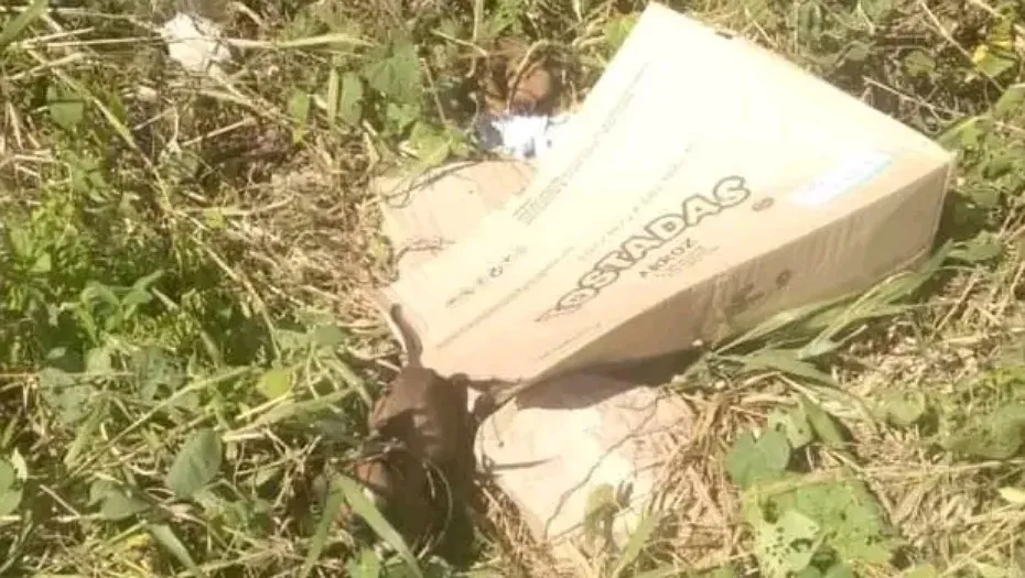 IMG_20240327_163100_(930_x_525_píxel)