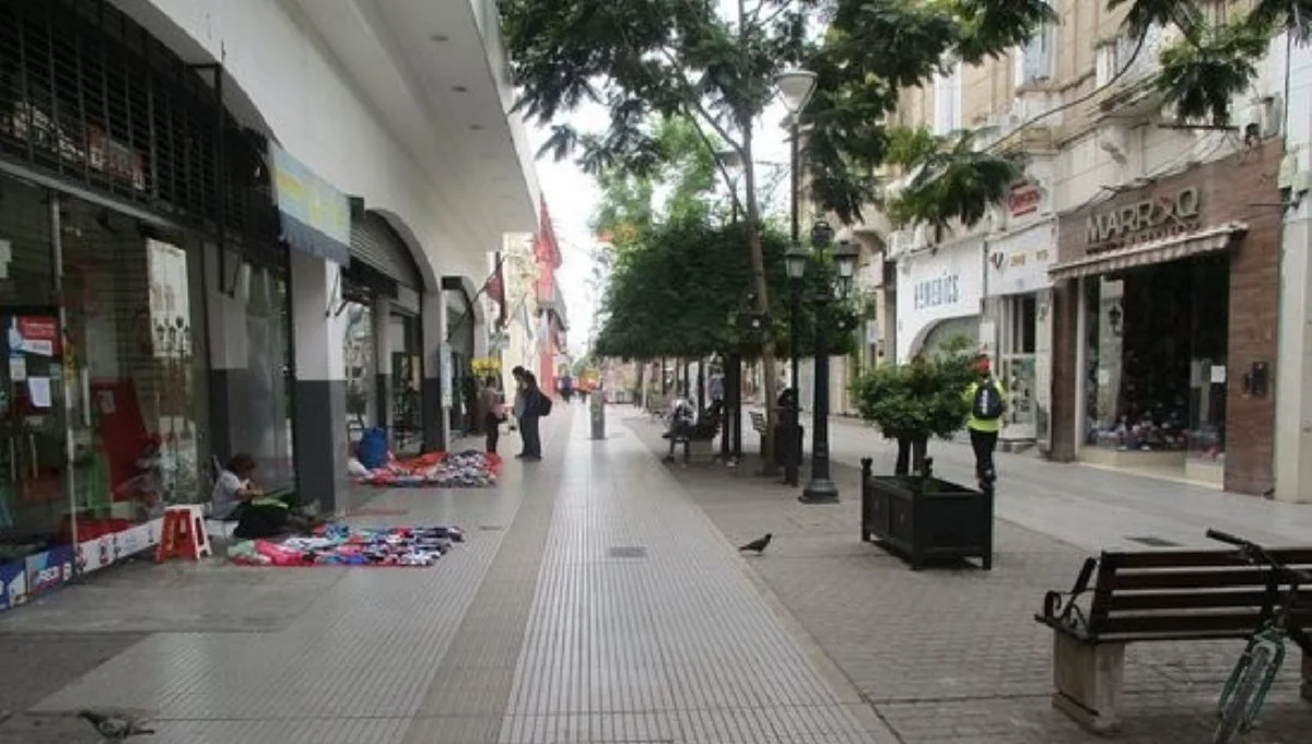 WhatsApp Image 2026-02-19 at 10.59.29