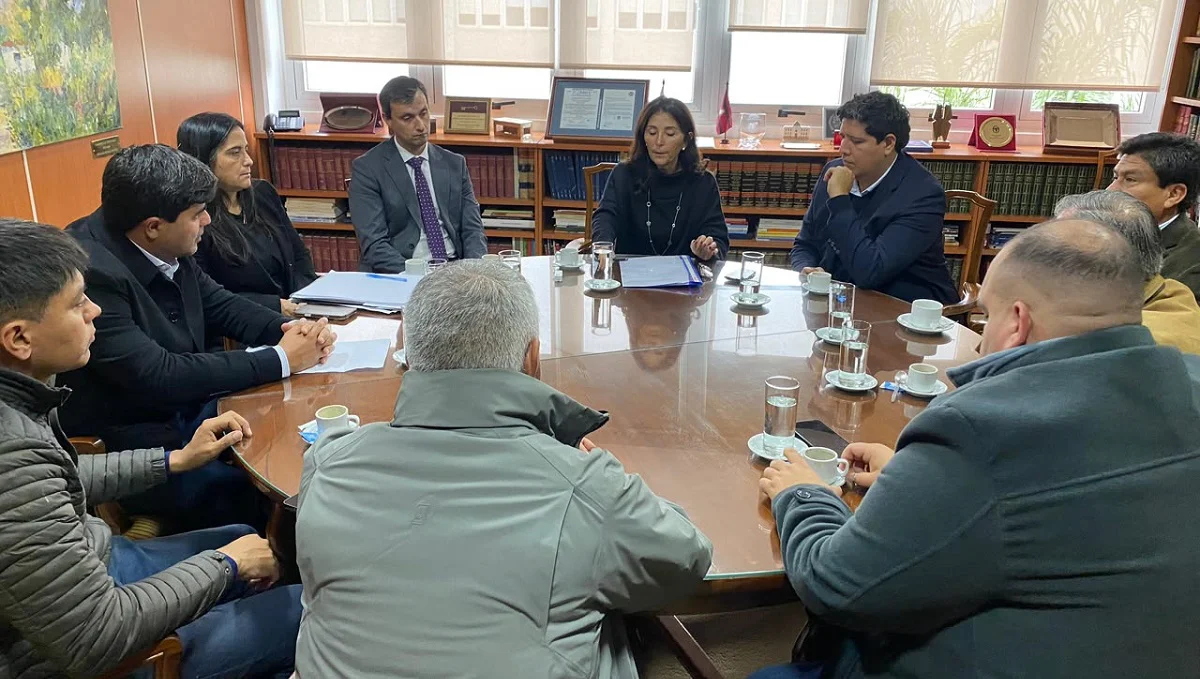Diputados (4)