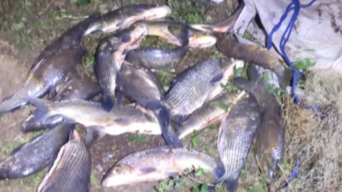 pesca_ilegal_1200x675
