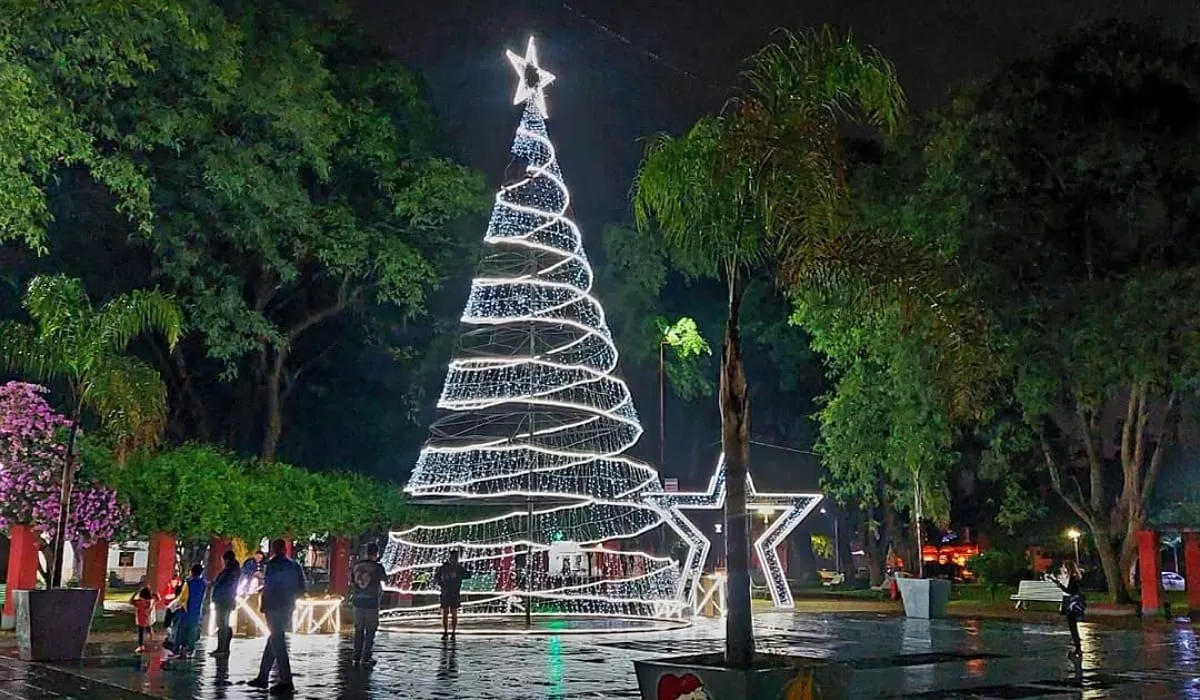 WhatsApp Image 2025-11-12 at 19.38.32