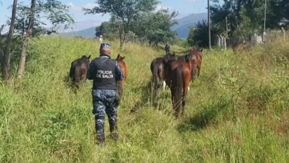 IMG_20250506_173909_(930_x_525_píxel)