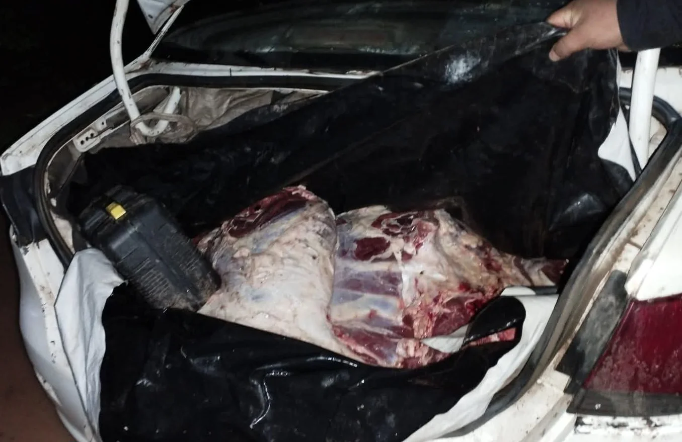 FB_IMG_1772746921241