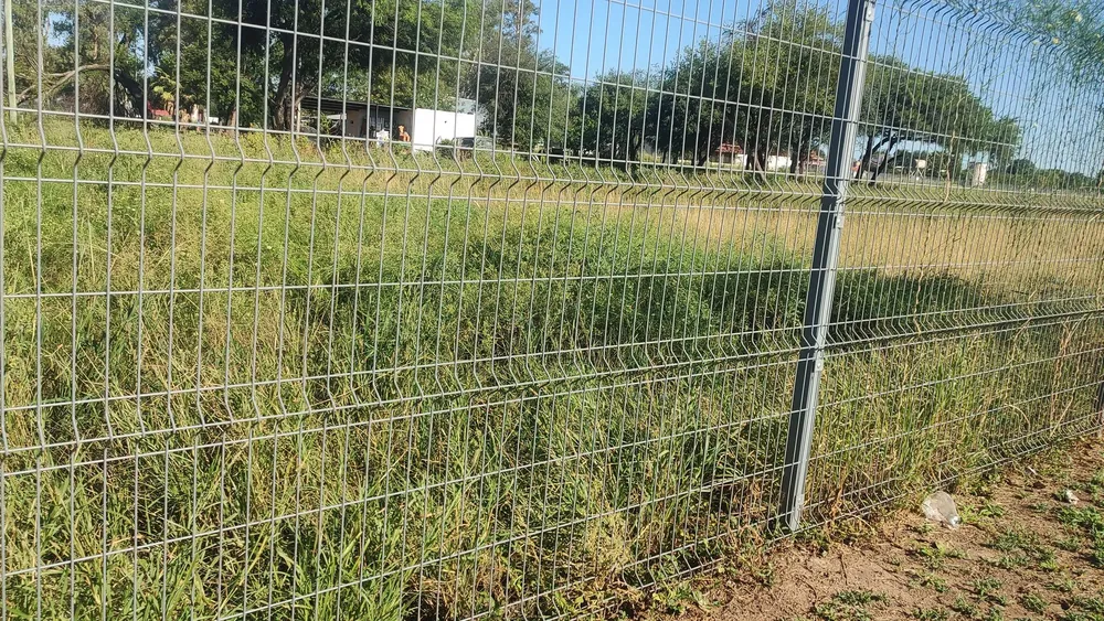 475543662_1342763966913120_3494355271481034527_n