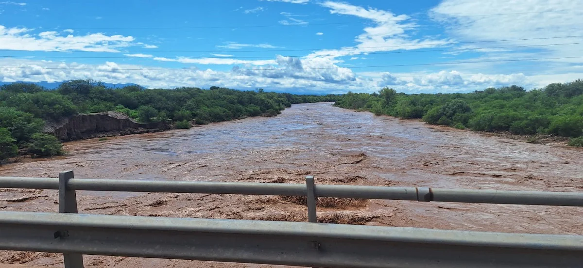 WhatsApp Image 2026-02-22 at 14.35.19