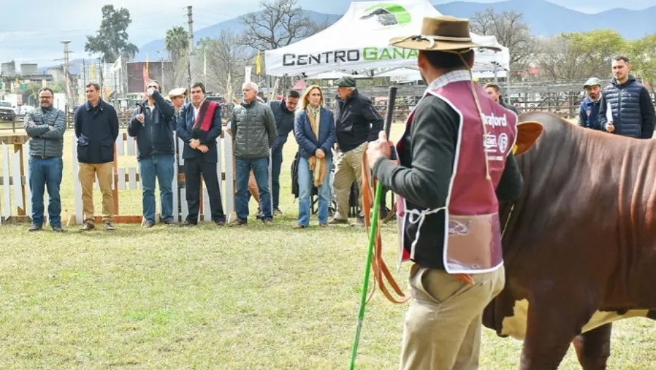 IMG_20240826_183401_(930_x_525_píxel)