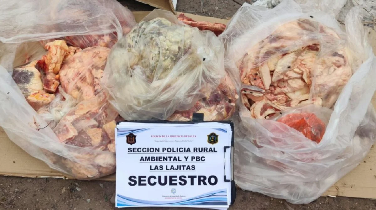 Carne