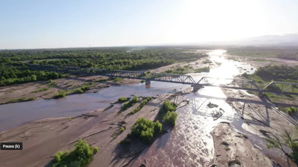 Saravia tierra dorada
