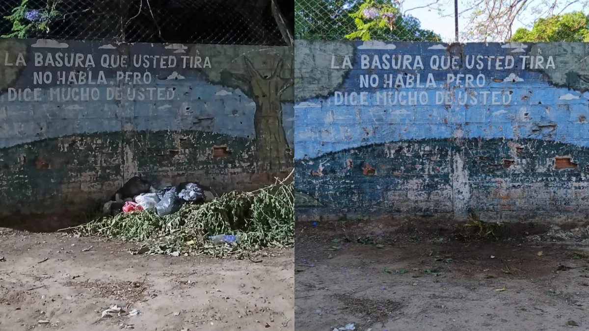 Limpieza antes despues