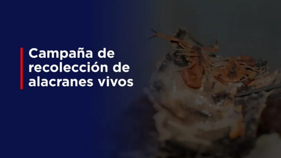 IMG_20240313_172341_(930_x_525_píxel)