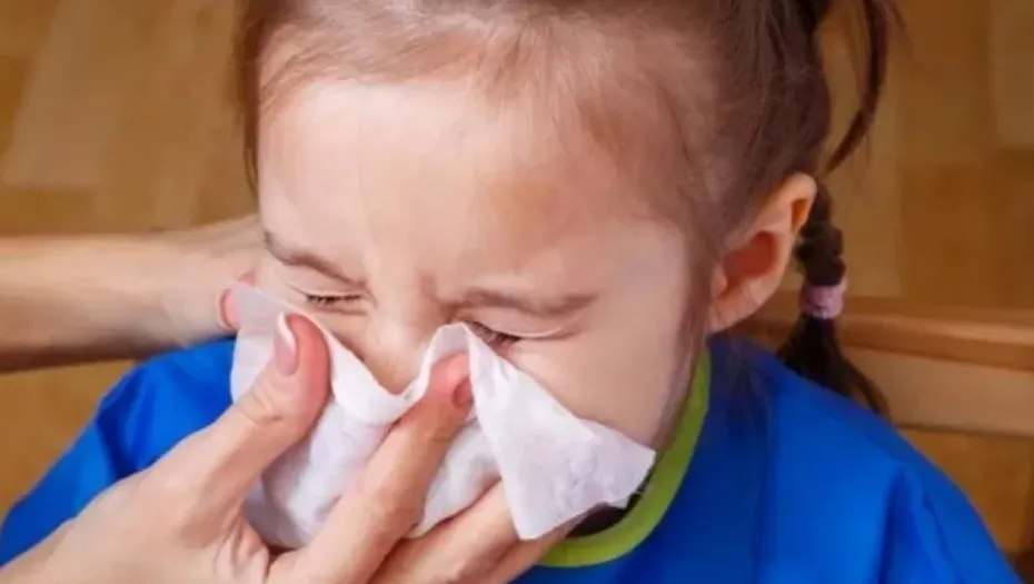 IMG_20240427_184237_(930_x_525_píxel)