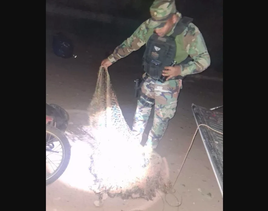 Red pesca ilegal