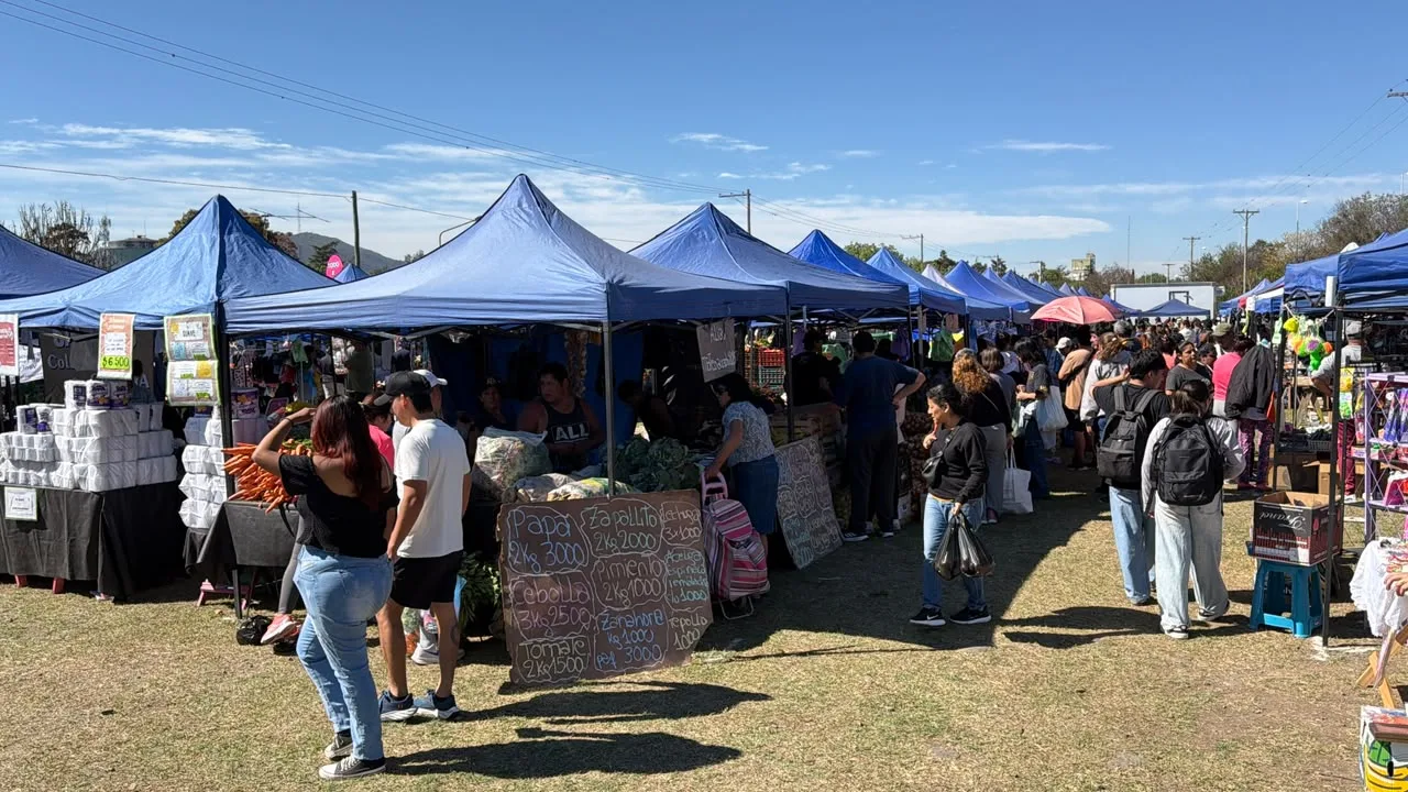 mercado5