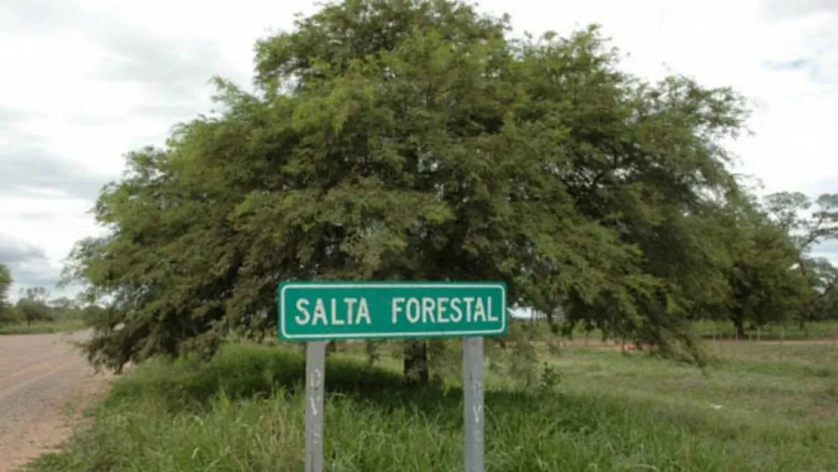 Salta Forestal