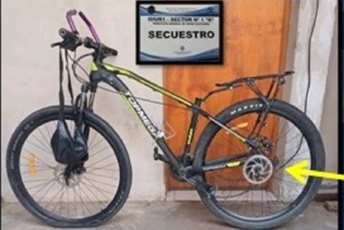 Bicicleta
