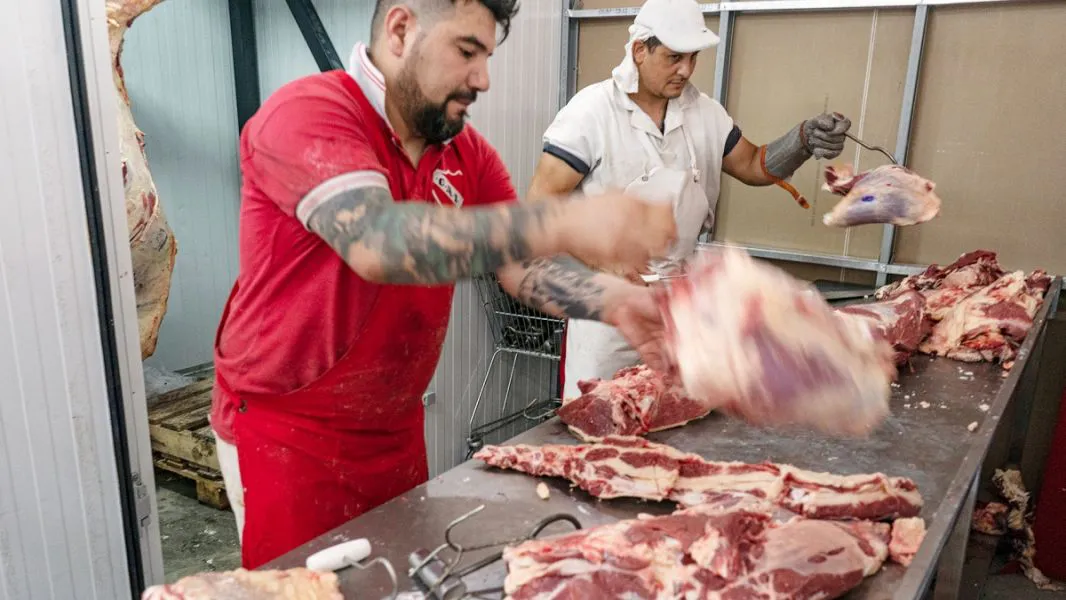 Carne