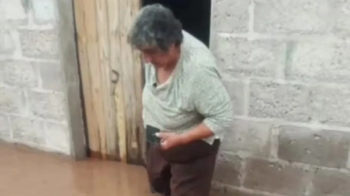 WhatsApp Image 2026-02-06 at 22.33.58