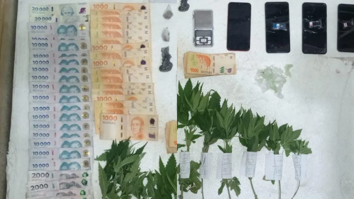 Drogas Peligrosas Rosario