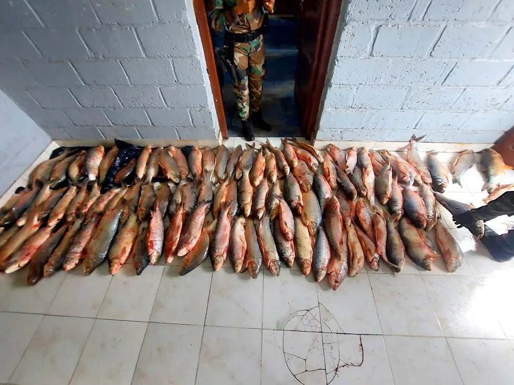 FB_IMG_1771288256260