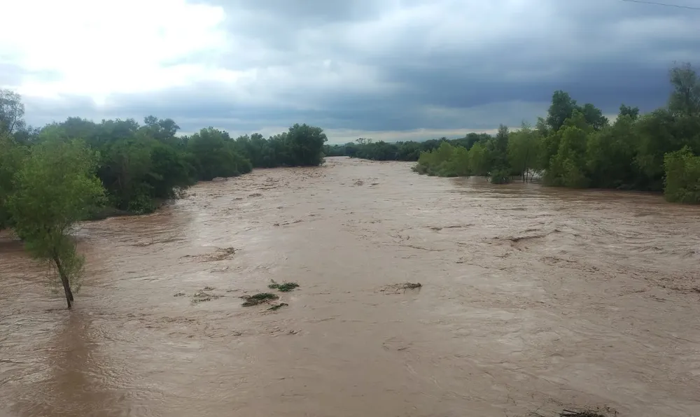 WhatsApp Image 2026-02-08 at 23.15.39