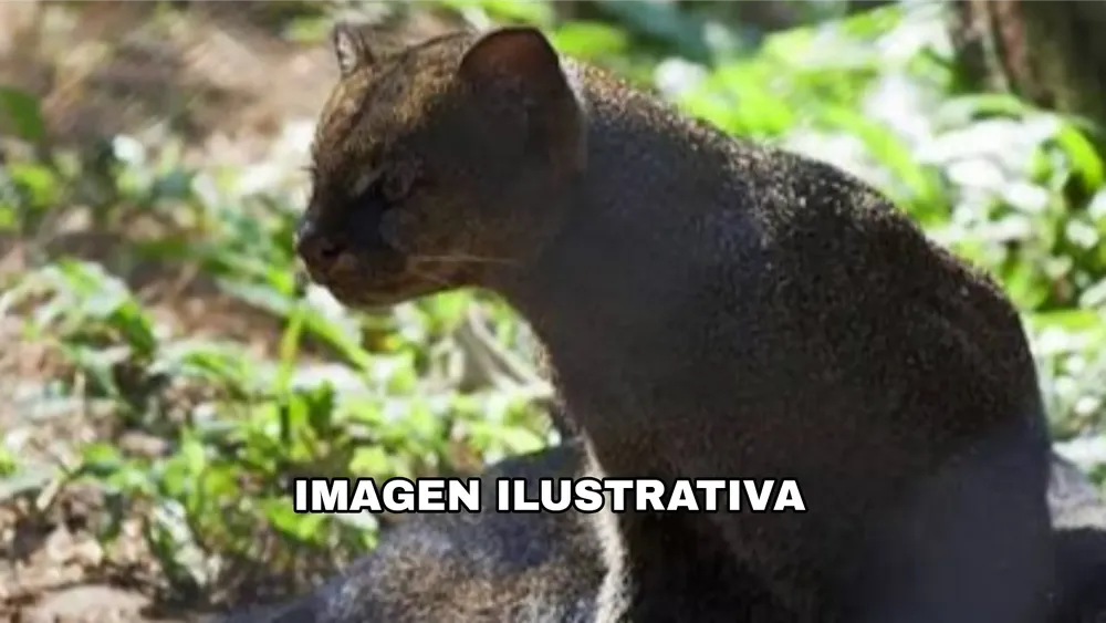 Picsart_25-10-02_13-17-12-418