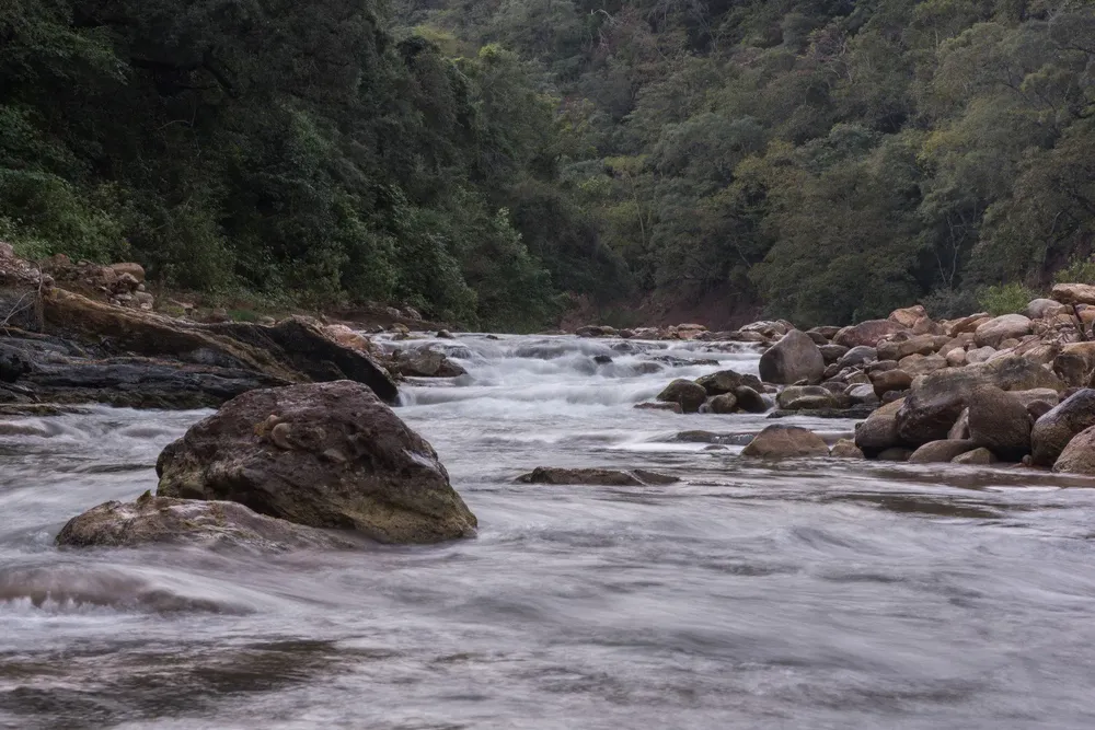 arrollo las tortugas pizarro