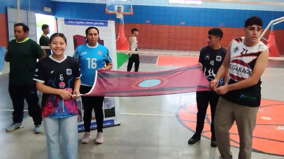 Liga de voley