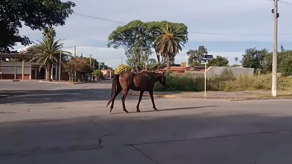 IMG_20250214_173121_(930_x_525_píxel)