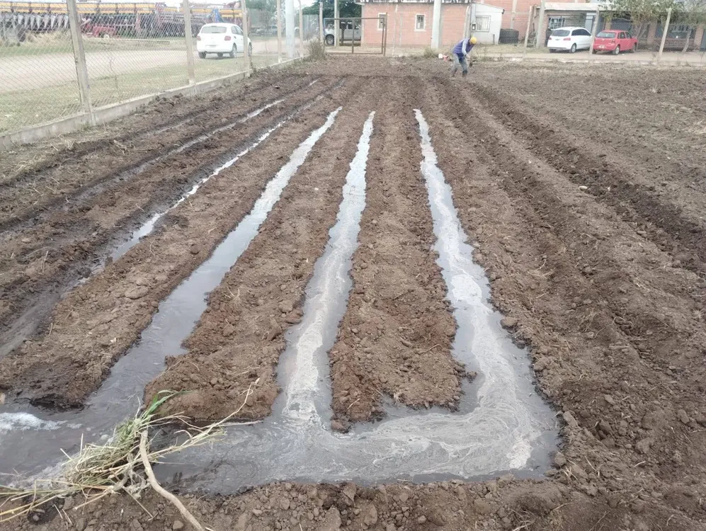 Huerta Las Lajitas