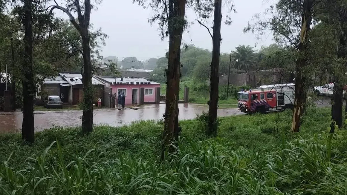 Asistencia Crítica  Asistencia Crítica