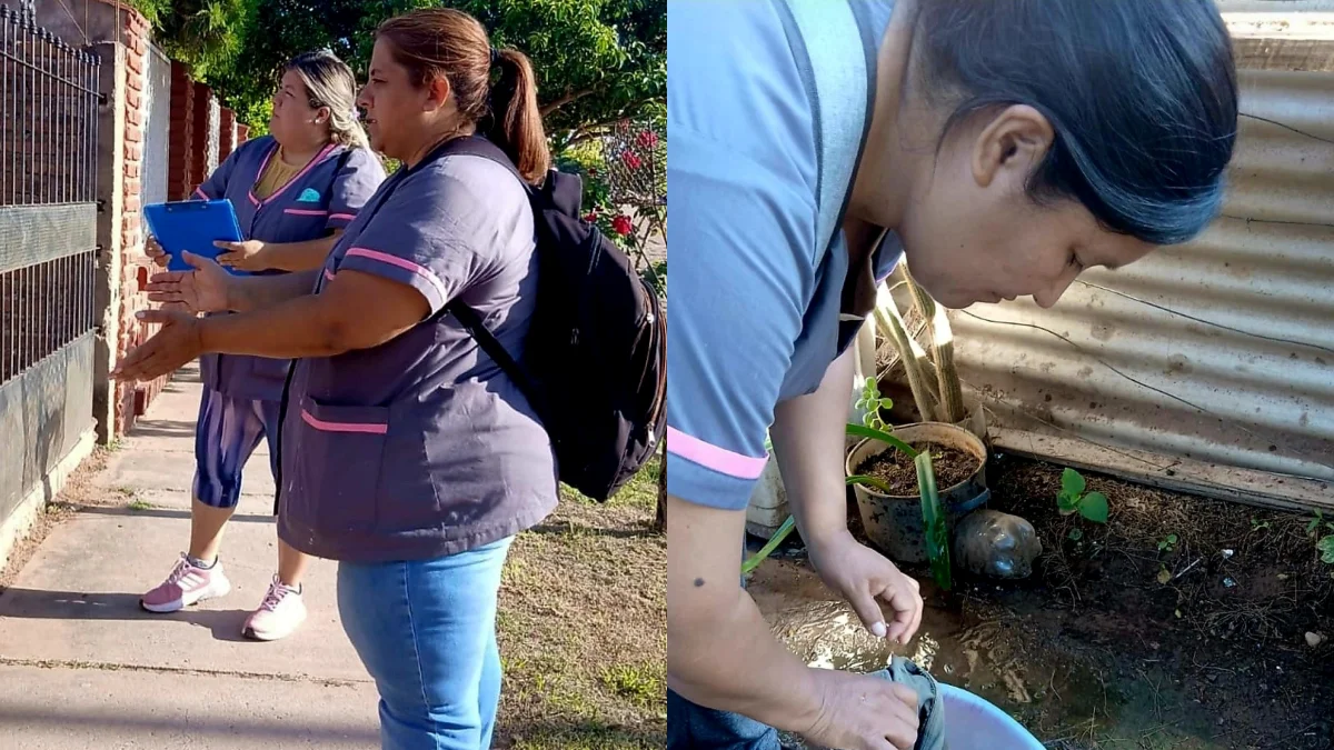 agente socioambientales