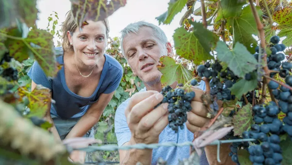 IMG_20250325_173522_(930_x_525_píxel)