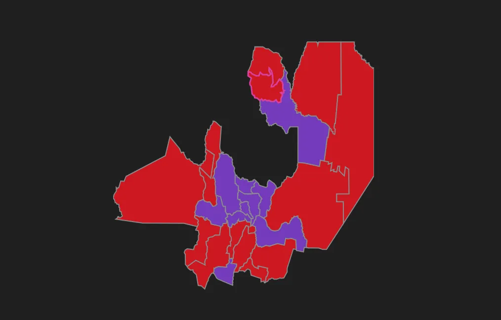Salta Primero los Salteños Elecciones