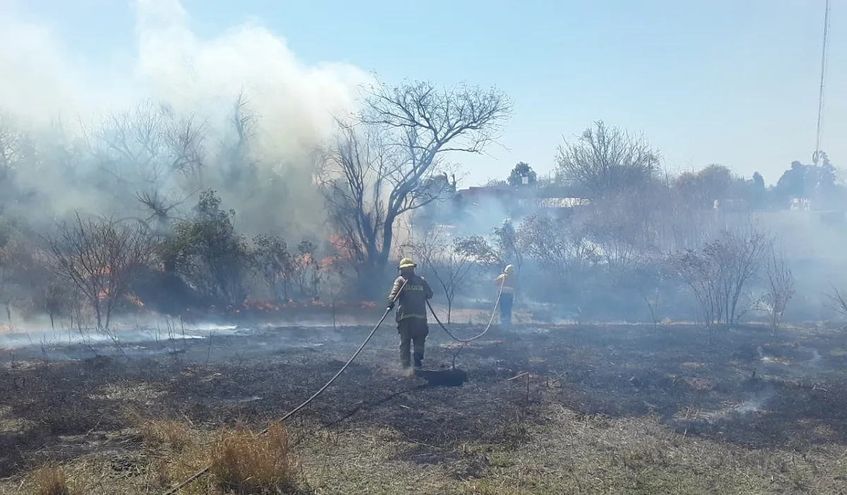 WhatsApp Image 2025-08-29 at 17.49.16