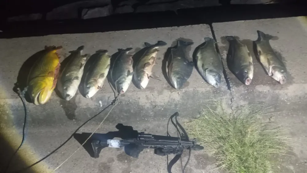 WhatsApp Image 2026-01-25 at 16.24.05