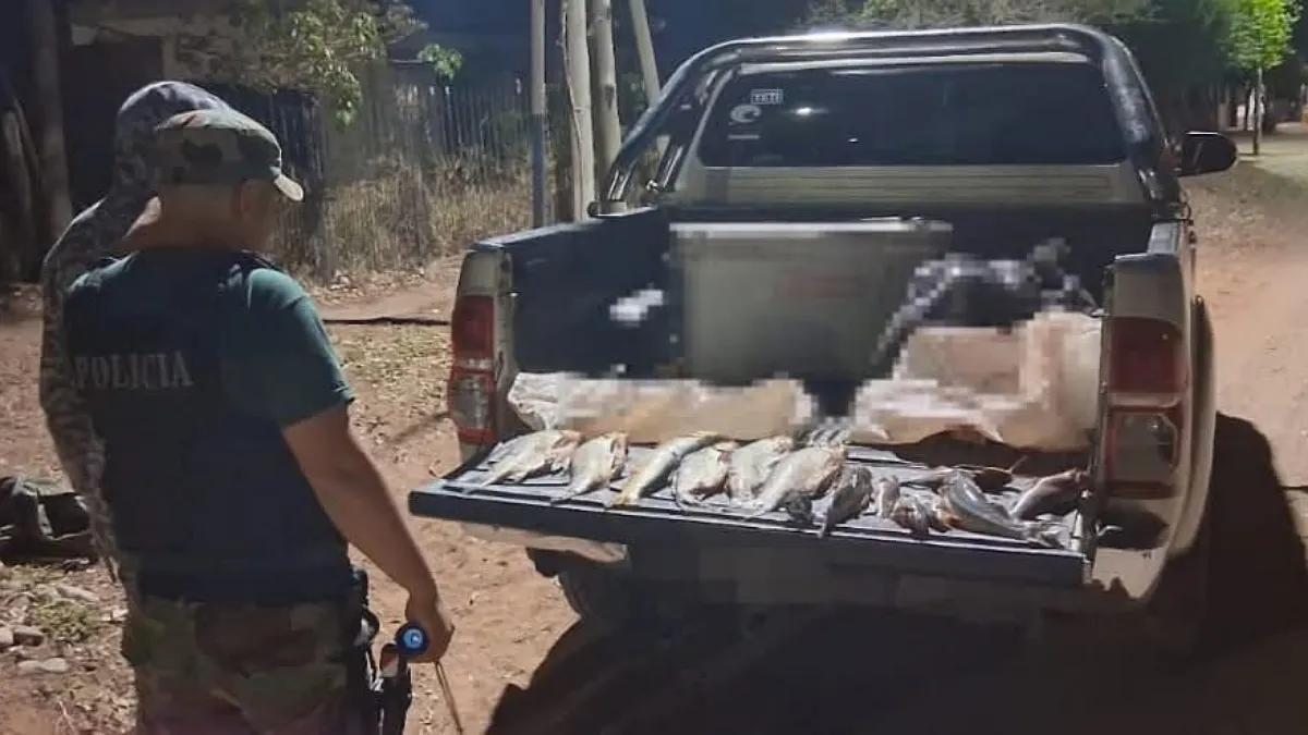 IMG_20251002_140942_(1200_x_675_píxel)