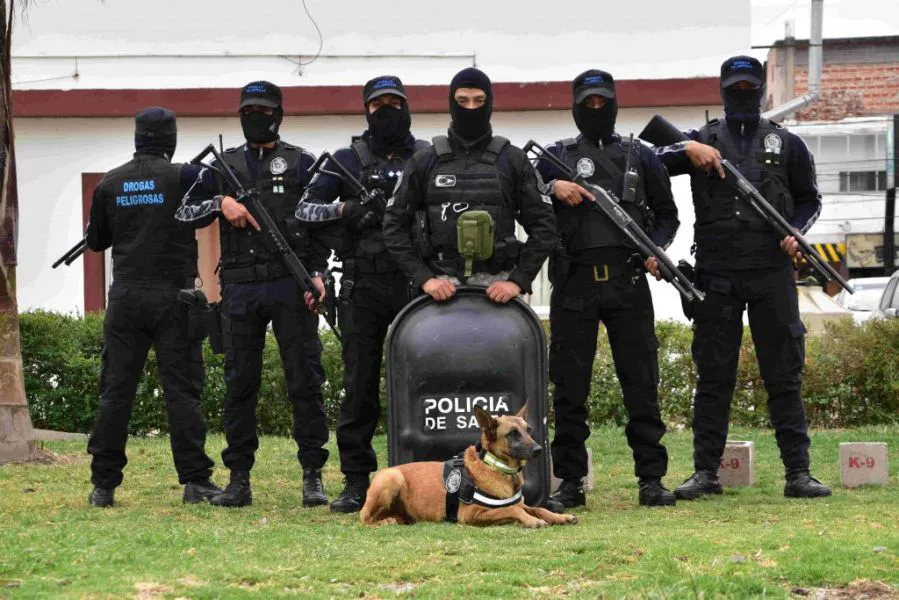 93628-en-2023-la-policia-de-salta-decomiso-mas-de-7-millones-de-dosis-de-droga