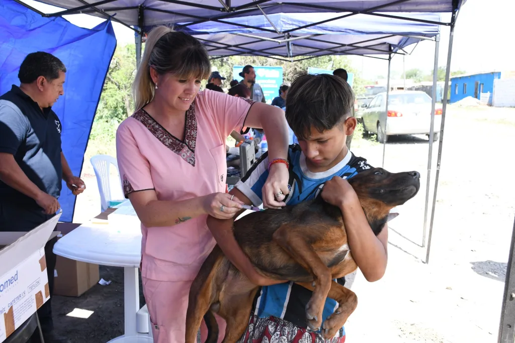 operativo-bienestar-animal-6-1024x682