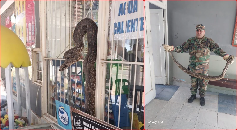 lampalagua