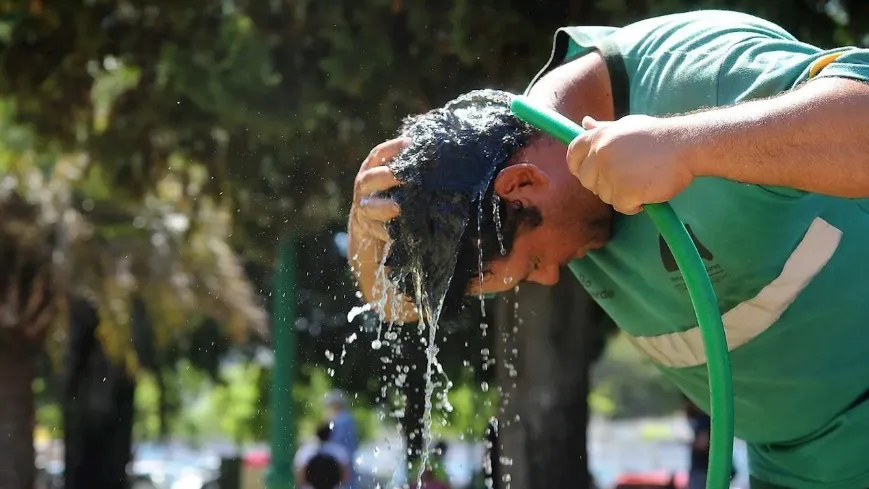 Calor