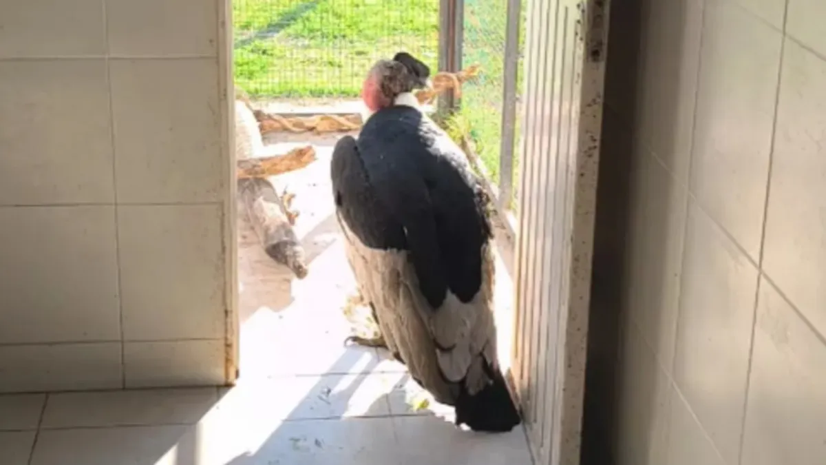 IMG_20251112_183217_(1200_x_675_píxel)