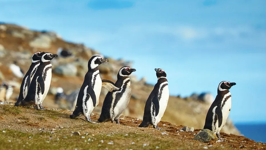 IMG_20241108_191440_(930_x_525_píxel)