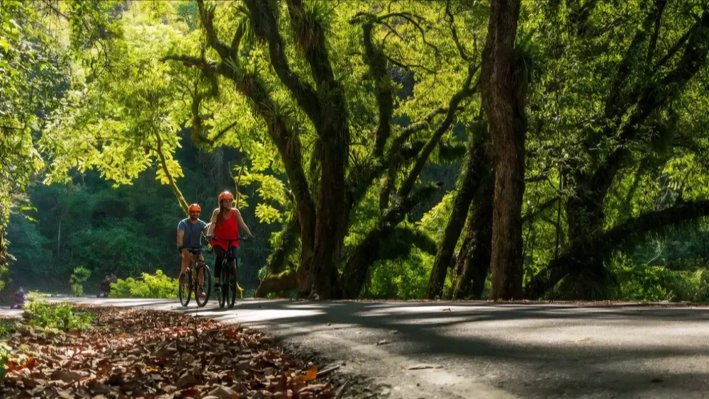 Screenshot_20251229_213209_Chrome