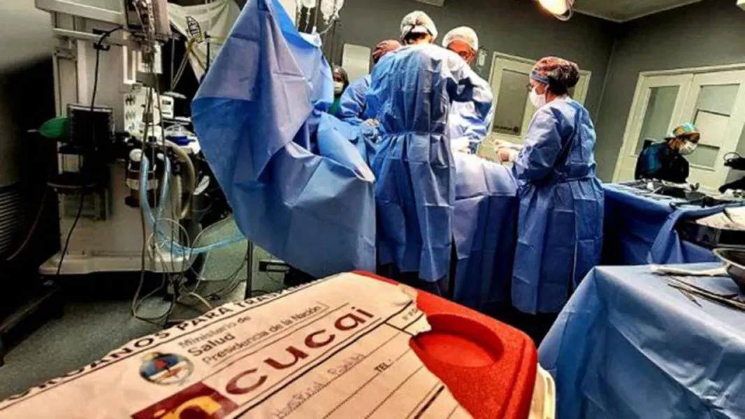 hablación órganos transplante