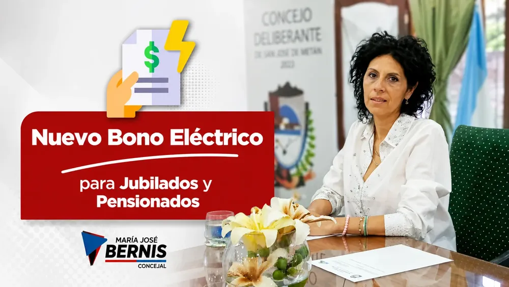 BONO ELECTRICO POR BERNIS
