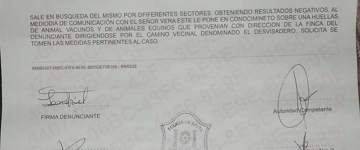 Denuncia